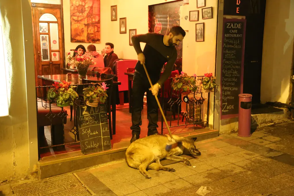 Cihangir'de bir kafenin önü; süpürgeyle köpeği tarayan garson, kapıda yatan köpek ve içeride masalar.