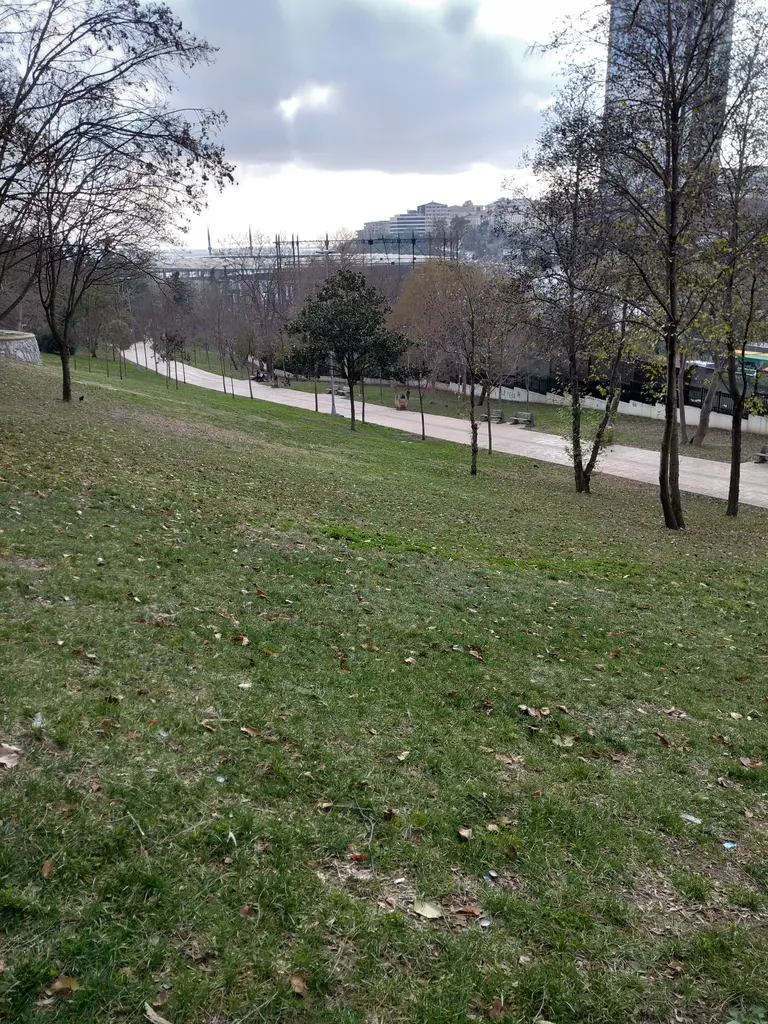 Maçka Demokrasi Parkı'nda yapraksız ağaçlı, eğimli geniş çimenlik yamaç, aşağıda yürüyüş yolu ve bulutlu gökyüzü.
