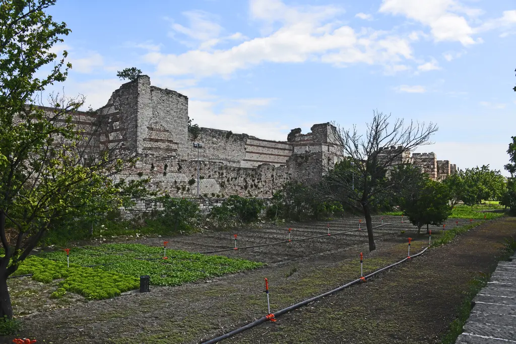Surun dibindeki bostan; tarhlara dizilmiş sebze sıraları, aralarındaki sulama boruları, toprak yollar ve arkada yıkık sur duvarı.