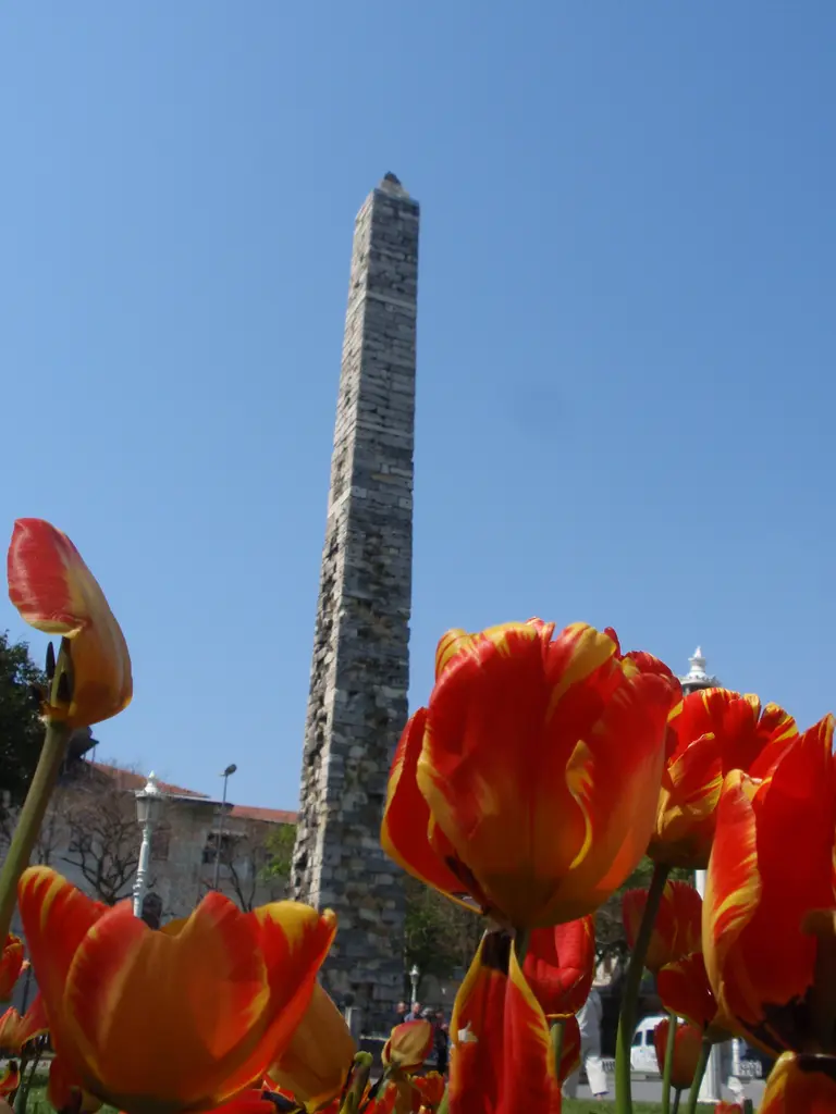 Sultanahmet Meydanı'nda kırmızı ve turuncu lalelerin arasından yükselen Örme Sütun, arkada ağaçlar ve açık mavi gökyüzü.