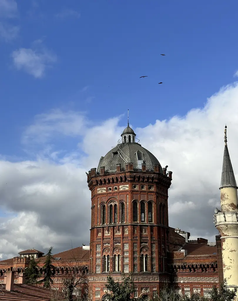 Gökyüzüne karşı okulun kubbesi ve yanında bir cami minaresi; arkada bulutlar, önde çatılar.