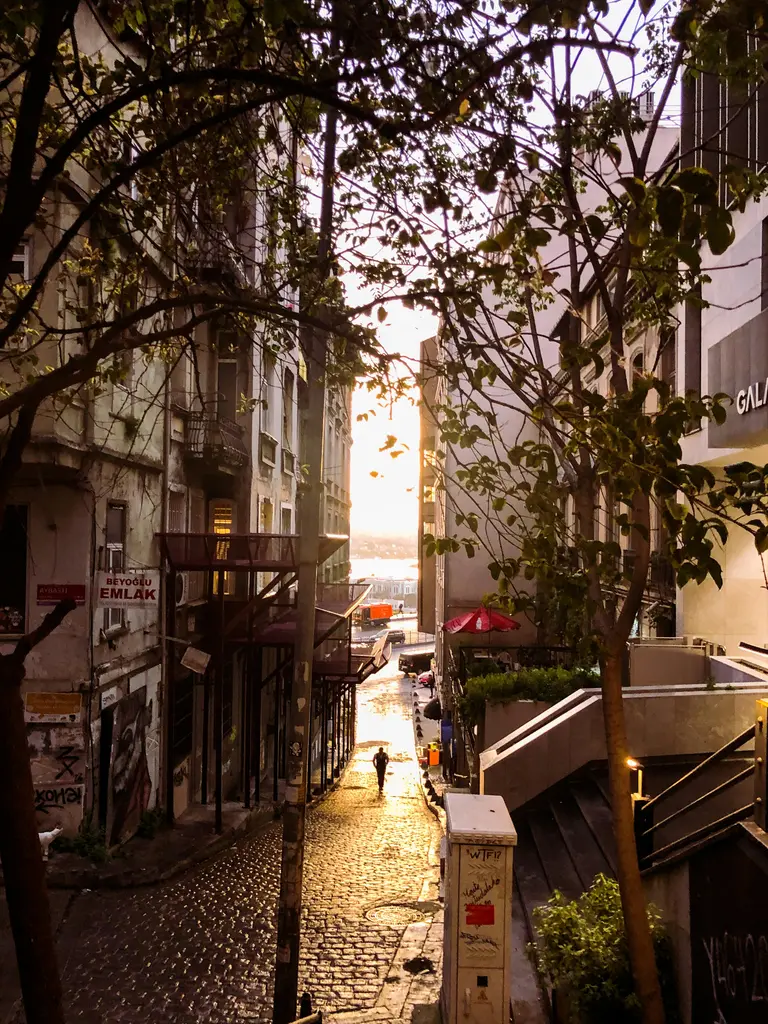 Beyoğlu'nda gün batımında taş döşeli bir sokak; iki yanda ağaçlar ve merdivenler, uçta denize doğru inen tek bir yaya.