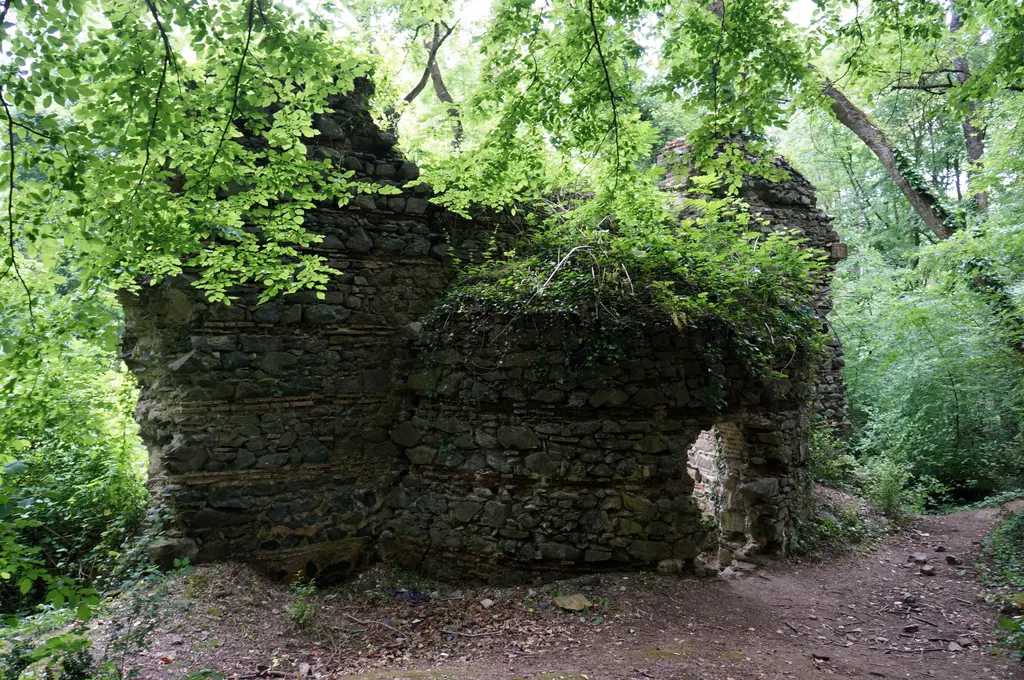 Belgrad Ormanı'nda yıkık kilise duvarı; yosun ve sarmaşıkla örtülü taş kalıntı, önünde toprak yol.