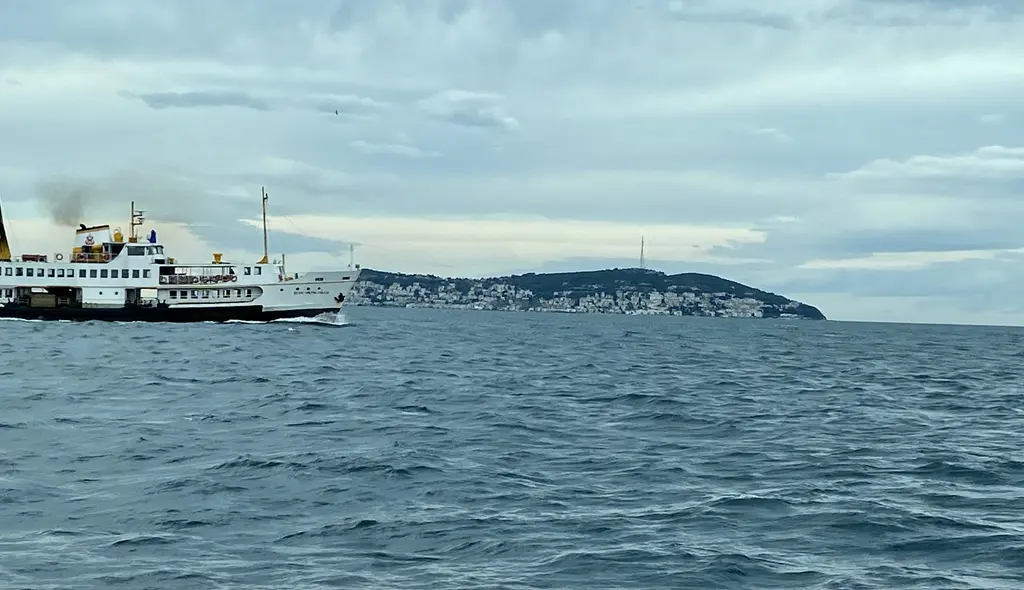 Adalar açığında vapur; gri deniz, yol alan beyaz yolcu gemisi ve arkada ormanlık ada silueti.