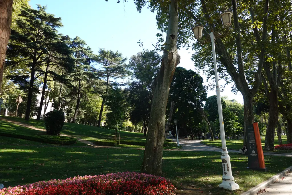 Sultanahmet'te Gülhane Parkı; eğimli çimenlik, yüksek çam ve çınarlar, yol kenarında kırmızı çiçek tarhı ve beyaz lamba direkleri.