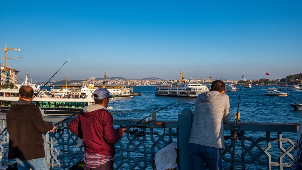 Galata Köprüsü'nde olta sallayan balıkçılar; korkuluğa yaslanmış üç kişi, uzakta vapurlar ve Boğaz'ın ağzı.