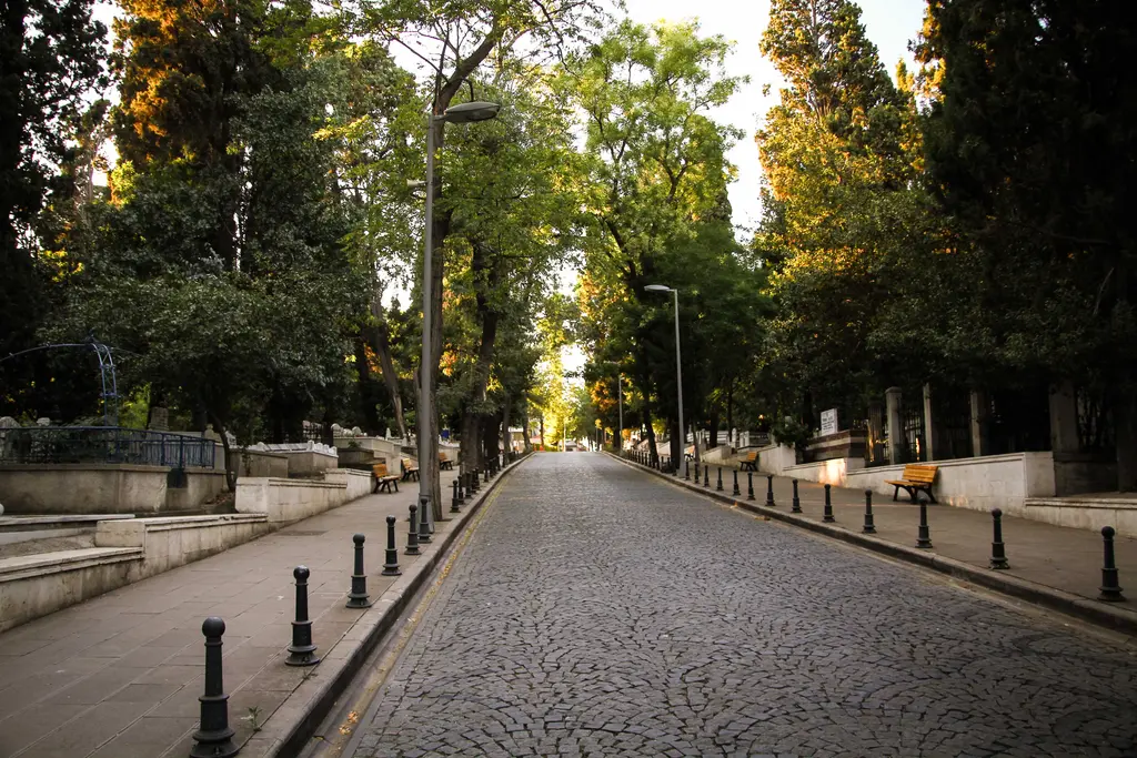 Karacaahmet Mezarlığı'nda ağaçlı yol; iki yanında kabirler, sokak lambaları, babalar ve yolu gölgeleyen ulu ağaçlar.