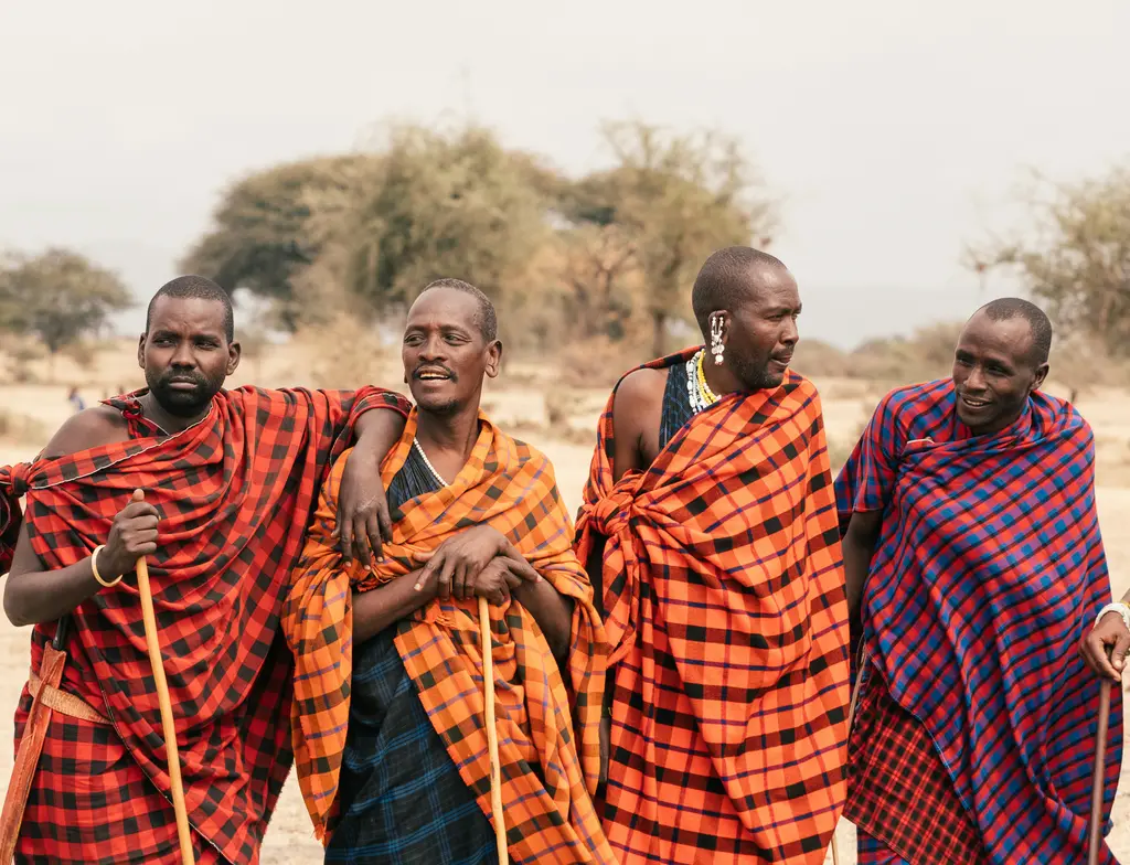 Kırmızı örtülü Maasai savaşçıları; geleneksel "shuka" kumaşları ve boncuk takılarıyla savanada duruyor.