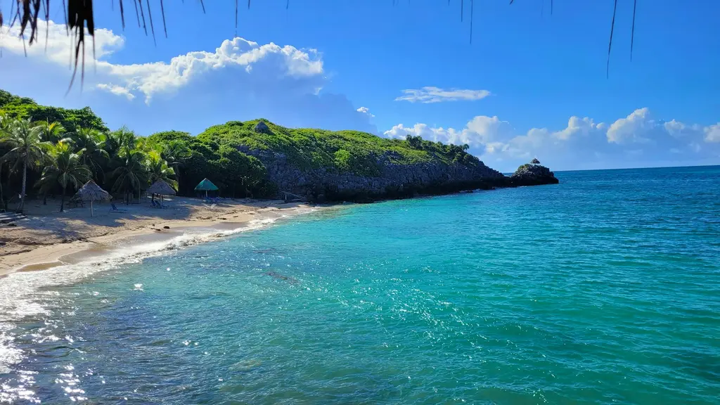 Honduras'ta Roatán Adası'nda Karayip kıyısı; parlak turkuaz sular, palmiyeli kumsal, hasır şemsiyeler ve arkada ormanla kaplı kayalık burun.