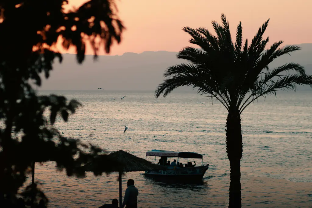 Akabe'de gün batımında deniz kıyısı; siluet hâlindeki palmiye ve ağaç dalları, suda demirlemiş bir gezi teknesi ve turuncuya dönen gökyüzü.
