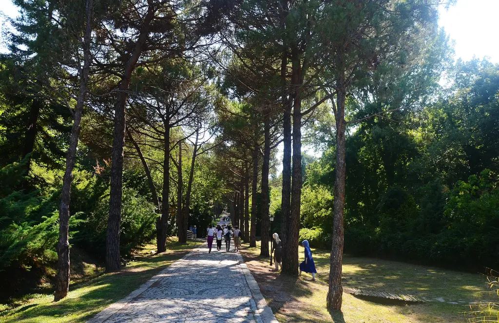 Atatürk Arboretumu'nda yürüyüş yolu; iki yanda uzun ağaçlar, yola düşen gölgeler ve yürüyen ziyaretçiler.