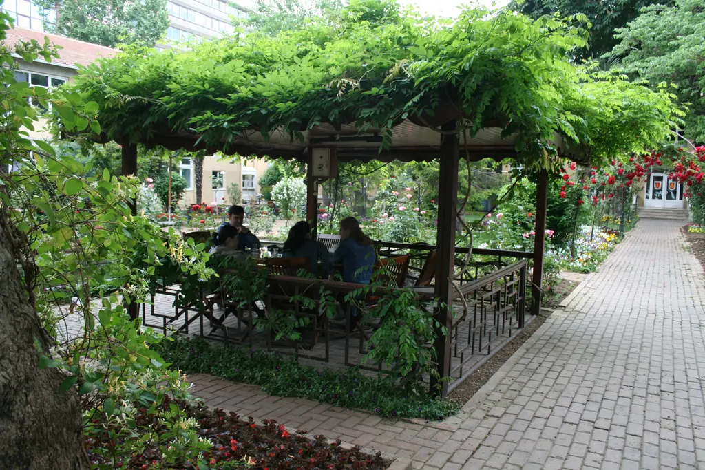 Cihangir'de bir bahçe; sarmaşıkla örtülü ahşap çardak altında oturanlar, gül tarhları ve taş döşeli yol.