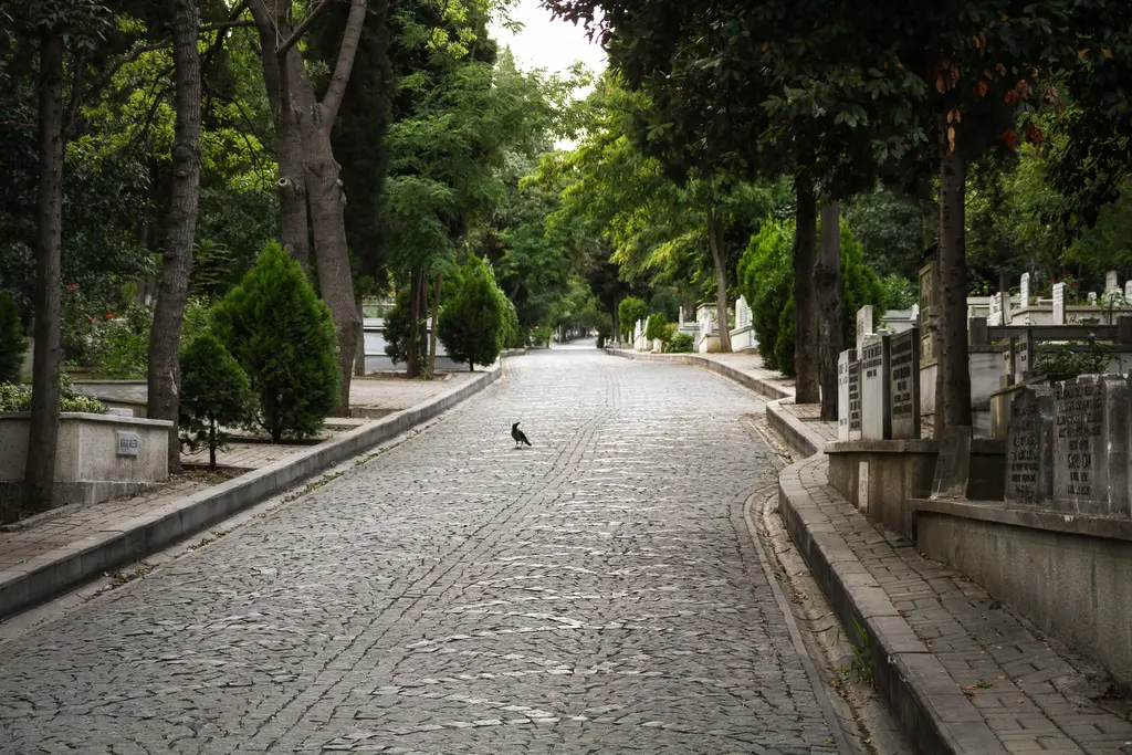Karacaahmet Mezarlığı'nda parke taşı yol; iki yanında alçak duvarlar ve kabirler, uzakta yürüyen bir karga ve ağaçlar.