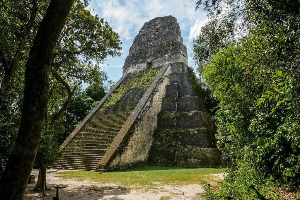 Guatemala'daki Tikal Ulusal Parkı'nda yağmur ormanından yükselen Maya piramidi; yosun kaplı basamaklı taş tapınak, çevresini saran gür ağaçlar ve açık mavi gökyüzü.