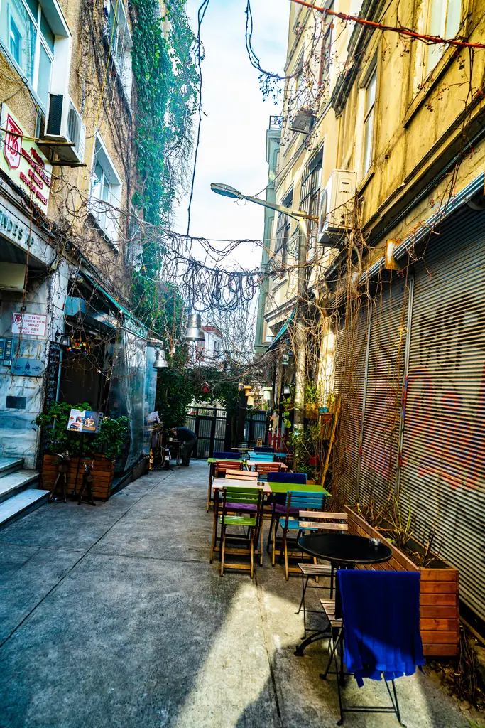 Beyoğlu'nda İstiklal'e açılan dar bir ara sokak; renkli masa ve sandalyeler, cephelere tırmanan sarmaşıklar ve sokağın üstünde asılı teller.