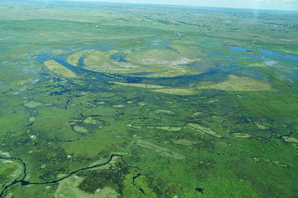 Botsvana'da Okavango Deltası'nın kuş bakışı görünümü; yeşil sulak arazide kıvrılan mavi su kanalları ve adacıklar.