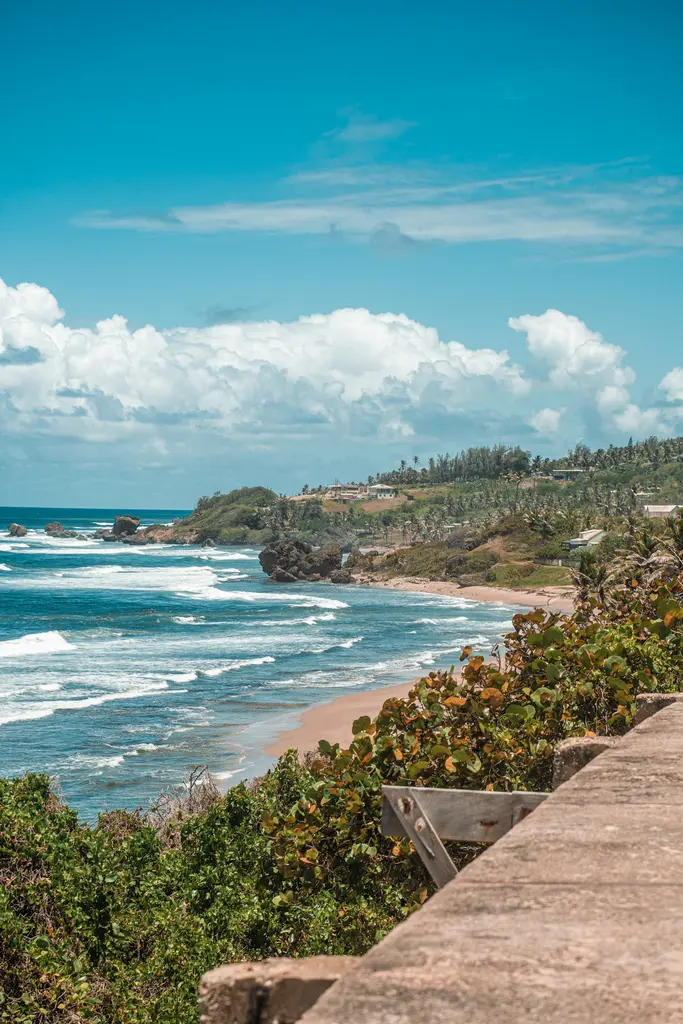 Barbados'un engebeli doğu kıyısı (Bathsheba); köpüklü dalgaların dövdüğü kumsal, denizden yükselen mantar biçimli kaya ve yeşil tepelerle palmiyeler.