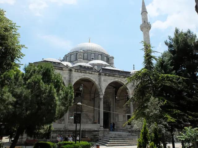 Hekimoğlu Ali Paşa Camii; kesme taş gövde, kurşun kaplı ana kubbe ve yarım kubbeler, sağda tek şerefeli minare, önünde servi ve çam ağaçları.