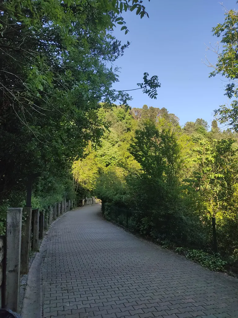 Mihrabat Tabiat Parkı'nda yamaç boyunca yükselen beton istinat duvarı ve yanından ağaçların arasına tırmanan merdivenli patika.
