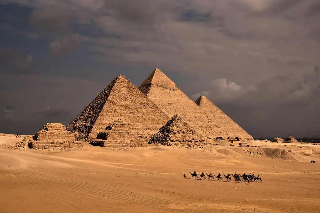 Giza piramitlerinin önünde develer; kum üzerinde bekleyen develer ve arkadaki piramit silueti.
