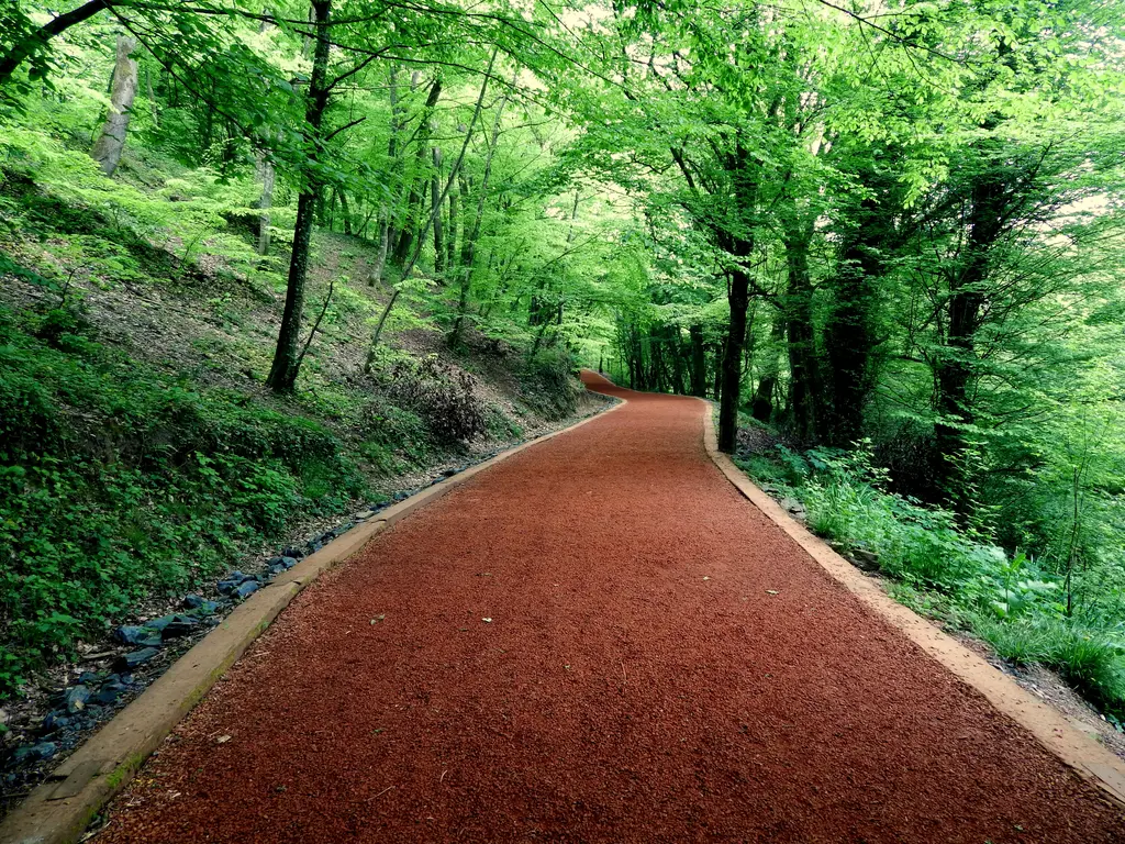 Belgrad Ormanı'nda koşu parkuru; kırmızı zeminli yol, iki yanda yeşil ağaçlar ve yola düşen güneş.