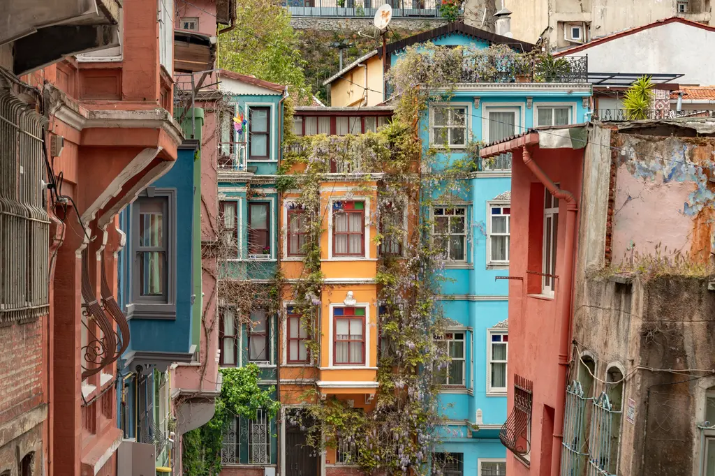Balat'ta sarmaşıkla kaplı renkli evler; turuncu, mavi ve sarı cepheler, cumbalar ve önde kırmızı tuğla duvar.