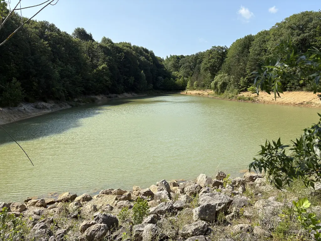 Atatürk Arboretumu'nda gölet; taş döşeli kıyı, yeşil su, iki yanda ağaçlarla kaplı yamaçlar.