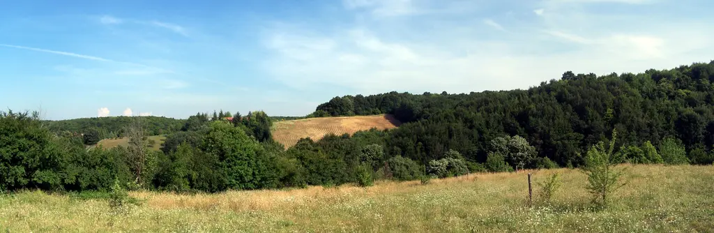 Polonezköy çevresinde geniş panorama; sarı otlu çayırlar, ormanla kaplı yumuşak tepeler ve bulutlu mavi gökyüzü.
