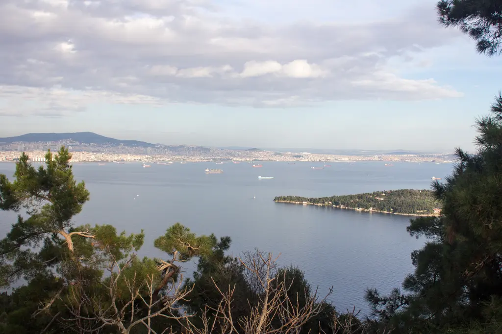Yücetepe'den Marmara; çam dallarının ardında demirli gemiler, uzanan bir burun ve Anadolu yakasının kıyısı.