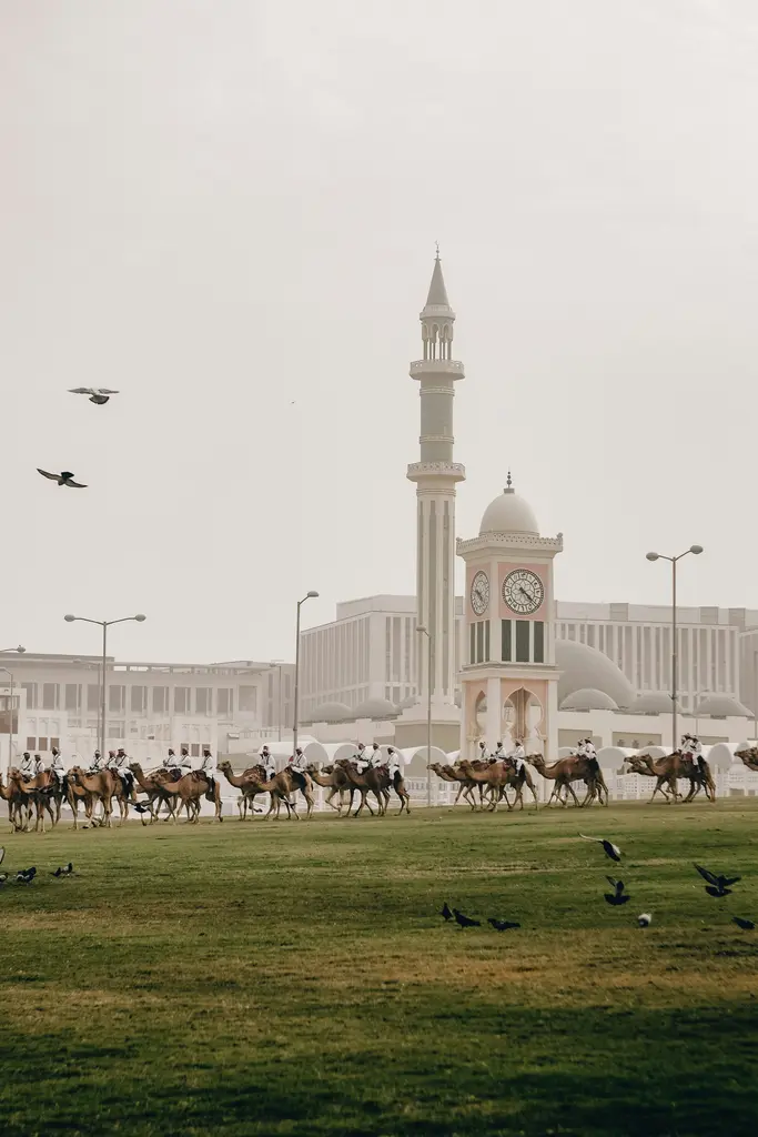 Doha'da yeşil bir alanda sıralanmış develer ve üzerlerindeki süvariler; arkada minareli cami, saat kulesi ve puslu gökyüzü.