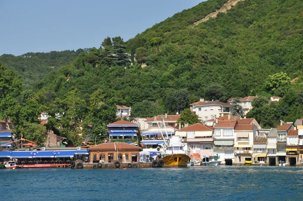 Anadolu Kavağı'nda ormanlık yamacın dibinde kıyı evleri; önde iskele binası, rıhtımda tekneler ve sakin deniz.