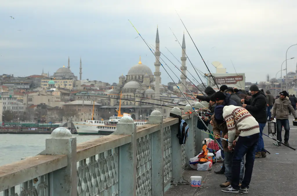 Köprü korkuluğunda sıralanmış balıkçılar ve oltalar; arkada Yeni Cami'nin kubbeleri ve minareleri, Haliç ve vapurlar.