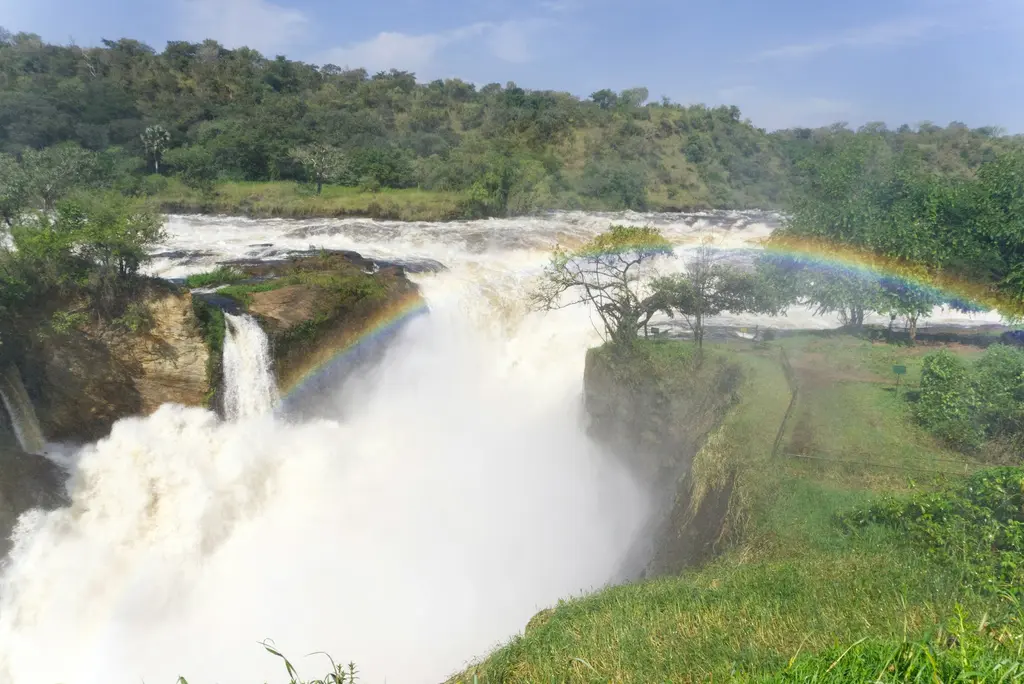 Uganda'da Murchison Şelalesi; dar bir yarıktan gürleyerek düşen köpüklü sular, sıçrayan zerreler üzerinde beliren gökkuşağı ve yeşil kıyılar.