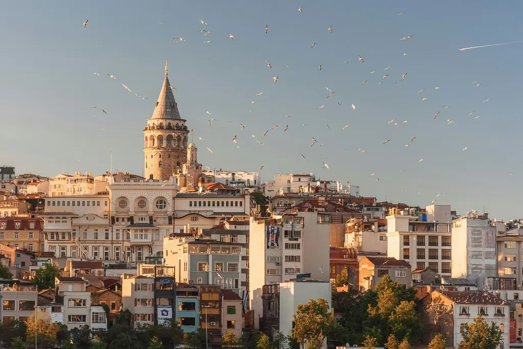 Beyoğlu'nda Galata Kulesi ve çevresindeki çatılar; akşamüstü ışığında sarıya dönen cepheler, yamaca dizilen binalar ve gökyüzünde uçuşan kuşlar.
