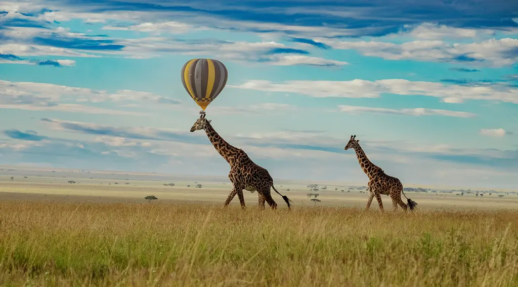 Serengeti'de sıcak hava balonu; şafak ışığında savananın üzerinde süzülen renkli balon.