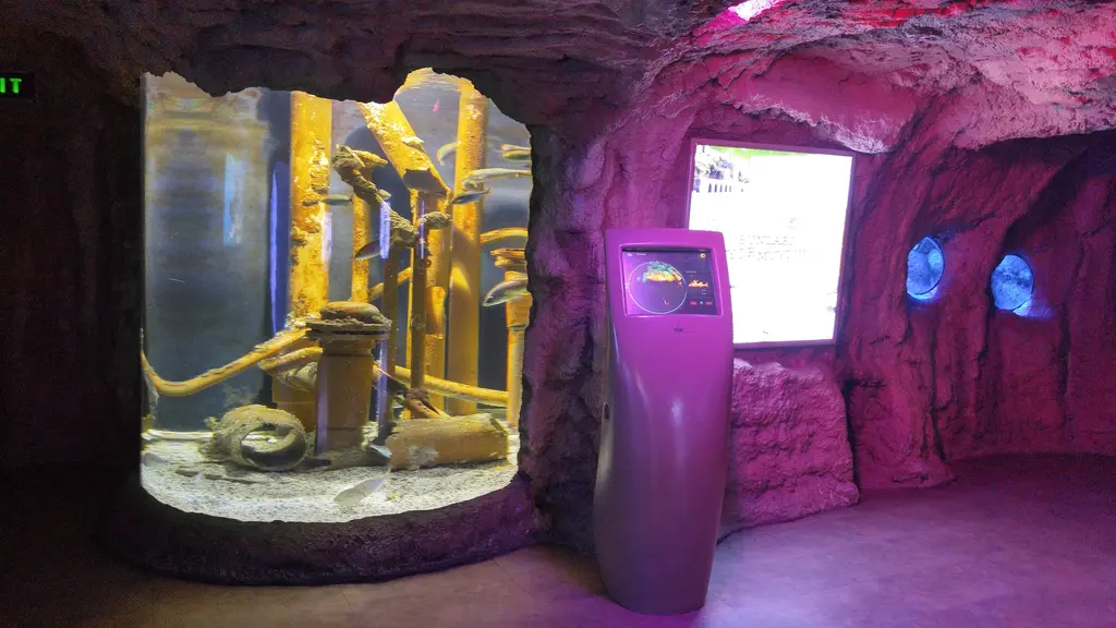 İstanbul Akvaryum'da pembe ışıklı mağara duvarına oyulmuş silindir tank; içinde batık parçaları, yanında dokunmatik bilgi ekranı ve lombozlar.