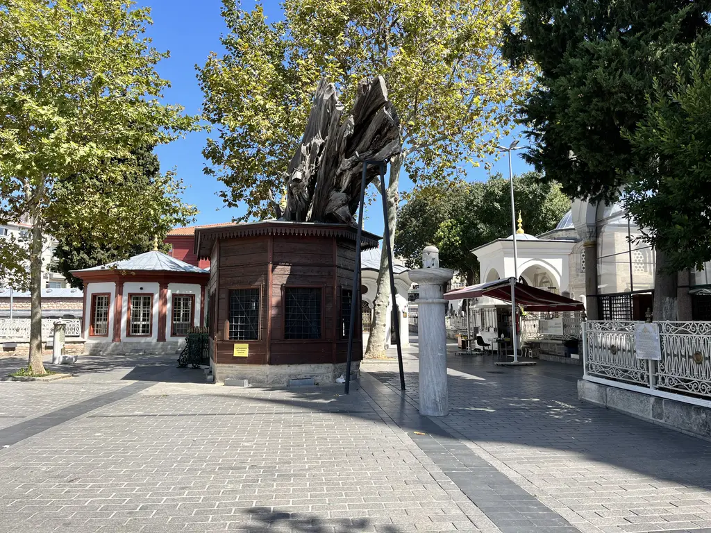 Koca Mustafa Paşa Külliyesi'nin avlusunda kurumuş ağaç gövdesini saran sekizgen ahşap köşk; çevresinde iri çınarlar, sağda mermer sütun biçimli çeşme, solda kırmızı beyaz türbe.