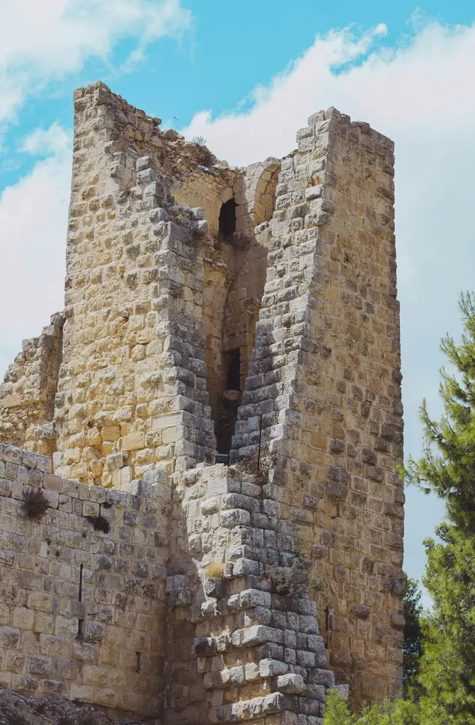 Yamaçta yükselen ortaçağ kalesinin taş kulesi; kesme taş duvarlar, dar mazgal pencereler, yıkılmış üst bölümler ve yanındaki çam ağaçları.