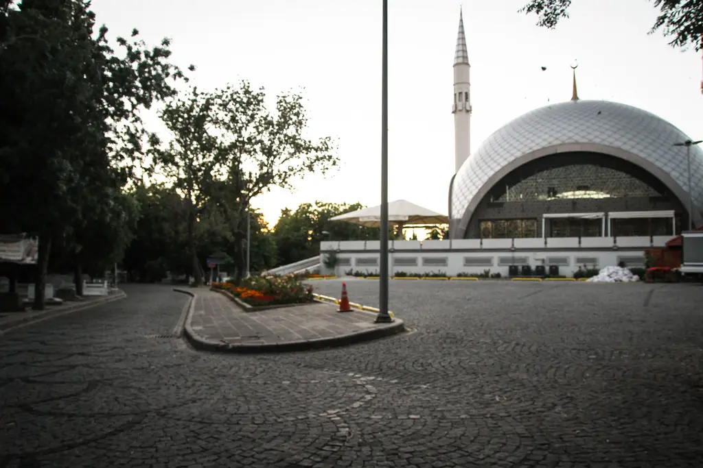 Şakirin Camii'nin uzaktan görünümü; ağaçlar arasındaki yolun sonunda gümüş kubbe, iki minare ve önünde meydan.