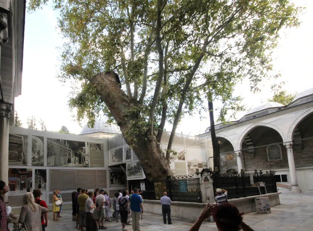Eyüp Sultan Camii'nin iç avlusu; demir parmaklıkla korunan yaşlı çınar ağacı, revaklar ve toplanan ziyaretçiler.