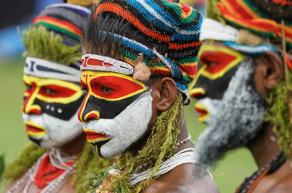 Melanezya'da (Papua Yeni Gine) yan yana dizilmiş, çarpıcı yüz boyaları ve yosunlu saç süslemeleri olan üç kabile erkeğinin profilden portresi.