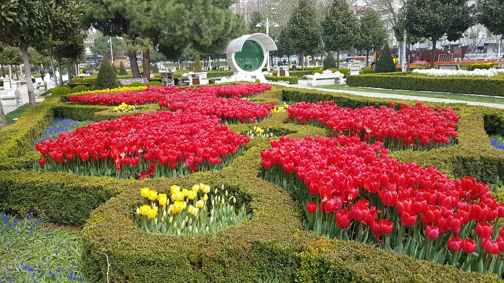 Göztepe 60. Yıl Parkı'nda lale tarhları; kırmızı, sarı ve mor laleler, budanmış çit desenleri ve arkada ağaçlar.