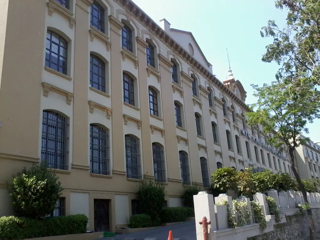Cibali Tütün Fabrikası'nın yan cephesi; sıra sıra pencereli uzun sarı duvar, çatı kenarında korniş, önde yeşil çalılar ve ağaç.