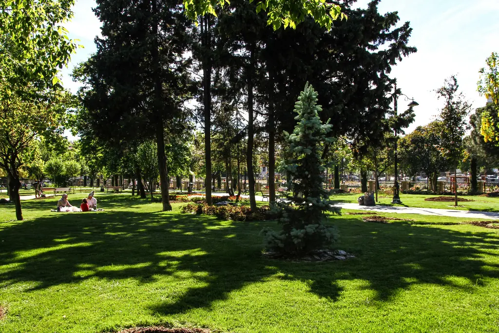 Göztepe Parkı'nda güneşli çimenlik; çam ve ladin ağaçlarının gölgesi, oturan insanlar ve arkada fener direkleri.