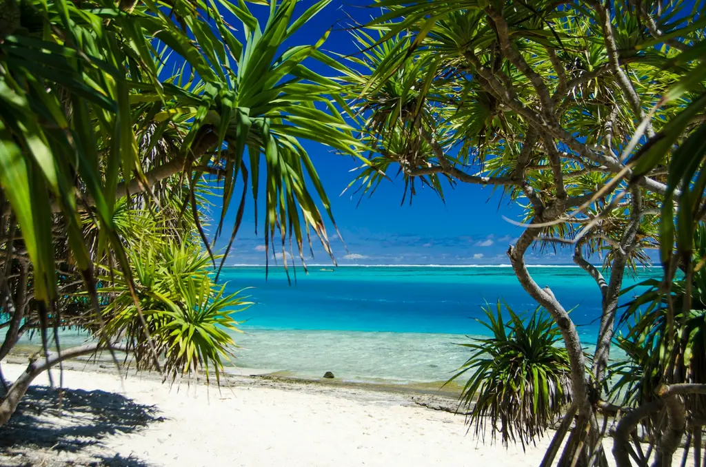Vanuatu'da pandanus ağaçlarının çerçevelediği beyaz kumlu bir kıyı; berrak turkuaz lagün ve koyu mavi gökyüzü.