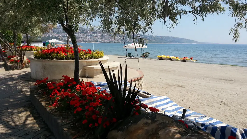 Büyükçekmece kumsalında çiçek tarhı; kırmızı sardunyalar, ağaç gölgesi, şezlonglar ve arkada deniz.