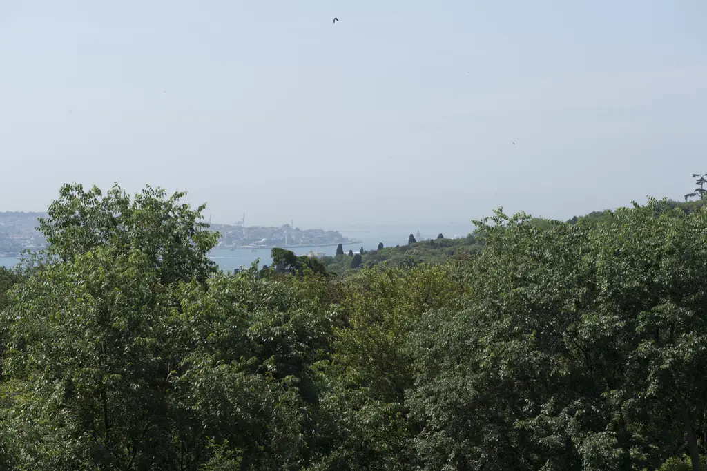 Yıldız Parkı'ndan Boğaz; ön planda yemyeşil ağaç tepeleri, arkada puslu su ve karşı kıyıdaki yamaç.