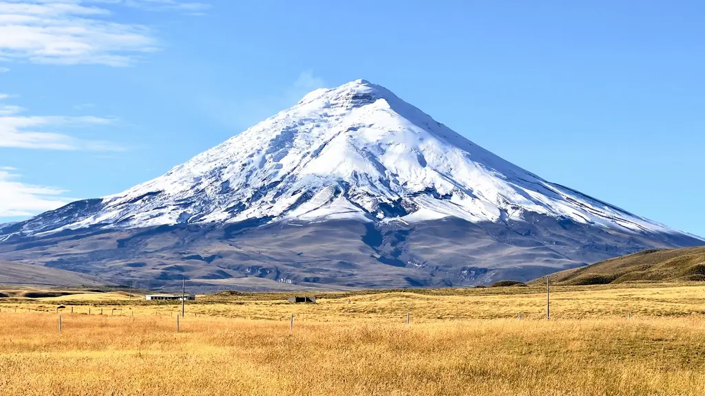 Ekvador'da simetrik karlı zirvesiyle Cotopaxi Yanardağı; önünde altın renkli otlaklarla kaplı yüksek yayla düzlüğü ve berrak mavi gökyüzü.
