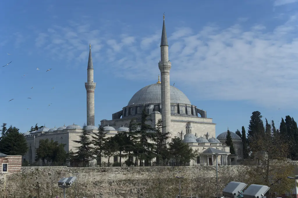 Yavuz Sultan Selim Camii'ne batıdan bakış; yüksek taş istinat duvarının üstünde yükselen basık kubbe ile iki minare, gökyüzünde martı sürüsü.