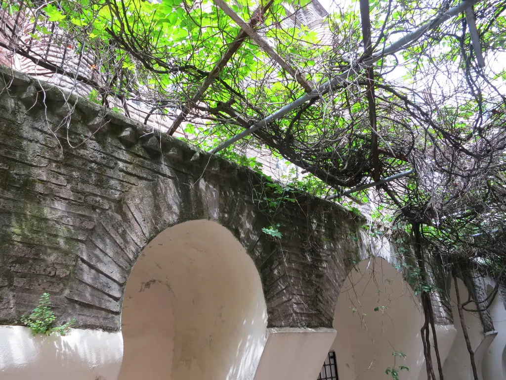 Bodrum Camii'nde alt yapının tuğla ve taş istinat duvarı; beyaz sıvalı kör kemerler, üstünden çardağa sarılmış asma dalları ve taze bahar yaprakları.